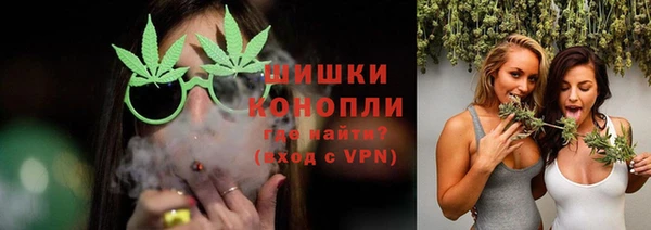 шишки Арсеньев