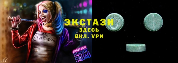 амф Ельня