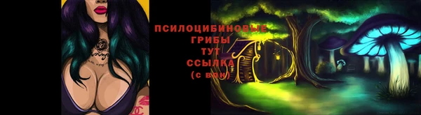 шишки Арсеньев