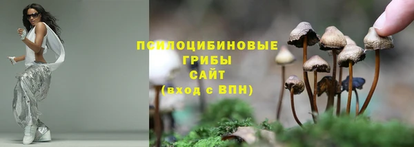 твердый Балахна
