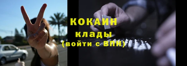 шишки Арсеньев