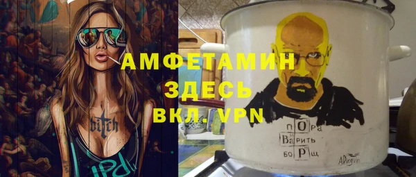 шишки Арсеньев