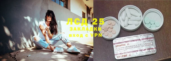 шишки Арсеньев