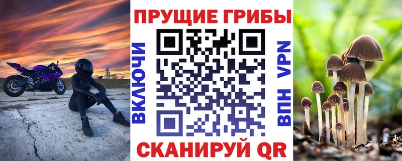 Галлюциногенные грибы мухоморы  что такое наркотик  Омутнинск 